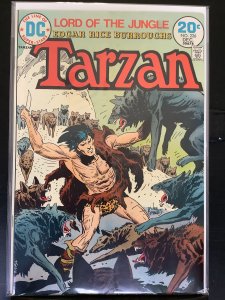 Tarzan #226 (1973)
