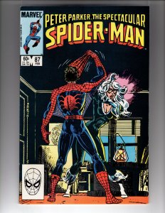 The Spectacular Spider-Man #87 (1984)  / NSC•NCA8