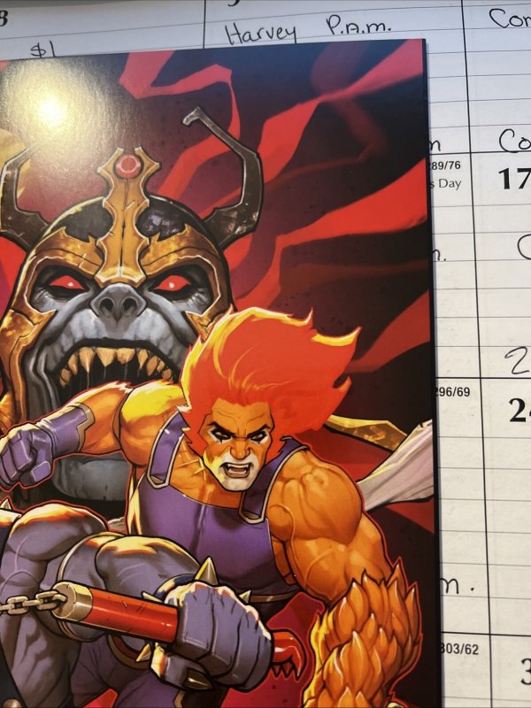 Thundercats #2 1:50 David Nakayama Virgin Variant (2024)