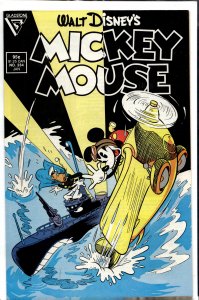 Mickey Mouse #234 (1988)