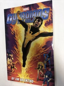 Guardians Of The Galaxy Vol.2 (2014) Marvel TPB SC Jim Valentino