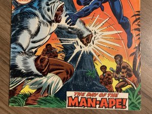 Jungle Action #5 VG 1st Black Panther Title! M'Baku Marvel 1973  MCU