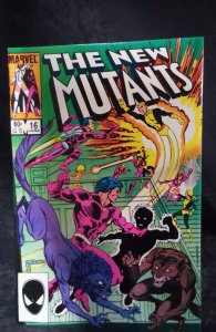 The New Mutants #16 (1984)