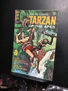 Edgar Rice Burroughs' Tarzan #193 (1970)