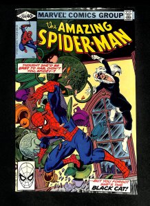 Amazing Spider-Man #204 Black Cat!