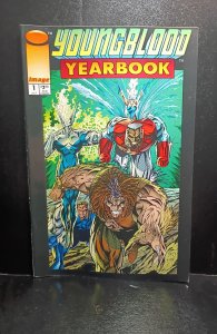 Youngblood Yearbook #1 (1993)