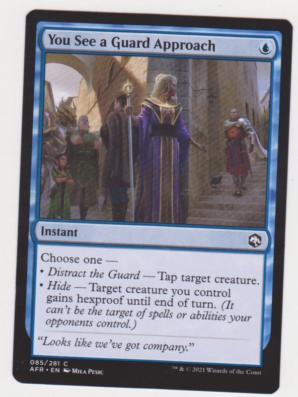 Magic the Gathering: Adventures in the Forgotten Realms - You See a Guard Approa