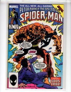 The Spectacular Spider-Man #111 (1986) [NSC•CR300-BI#05]