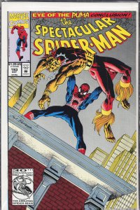The Spectacular Spider-Man #193 (1992) Spider-Man