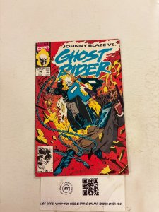 Ghost Rider #14 NM Marvel Comic Books Spider-Man Blaze Hobgoblin 29 HH83