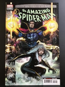 The Amazing Spider-Man #52.LR (2021)