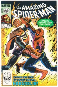 The Amazing Spider-Man #250 (1984) Spider-Man