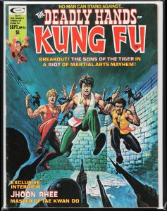 The Deadly Hands of Kung Fu #16 (1975) Sons of the Tiger