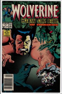 Wolverine #11 (1989) Wolverine