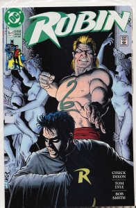 Robin #5 (1991)