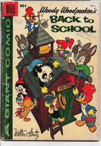 Woody Woodpecker Back to School #6 (1957)