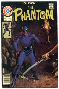 THE PHANTOM #69 1976-CHARLTON COMICS-WILD COVER NEWTON FN/VF