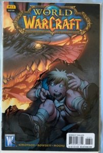 World of Warcraft #13 (2009)  