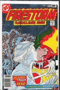 Firestorm #3 (1978) Firestorm [Key Issue]