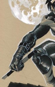 Nightwing Original Art by Sergio Dávila – DC Comics A4 Signed Illustration