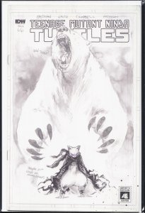 Teenage Mutant Ninja Turtles #66 Cover B (2017)