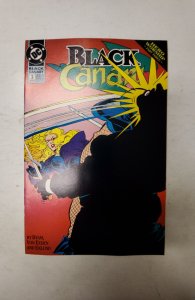 Black Canary #3 (1993) NM DC Comic Book J727