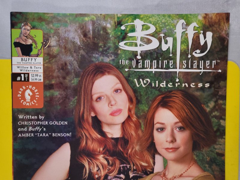 Buffy The Vampire Slayer Willow and Tara Wilderness #1 & #2 Photo Variant Covers
