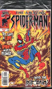 The Amazing Spider-Man #9 (1999) Spider-Man