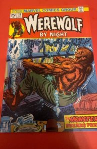 Werewolf by Night #20 (1974)upper mid grade