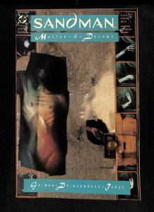 Sandman (1989) #7
