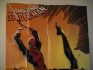 2010 AMAZING SPIDER-MAN  PROMOTIONAL  POSTER  