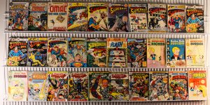 Big Lot of 30 Books- Mostly Bronze & Copper *See Description