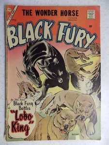 Black Fury #11 (1957)
