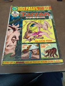 Tarzan 234 DC comics 1975 100 Page issue! Kubert art! Rex the Wonder Dog reprint