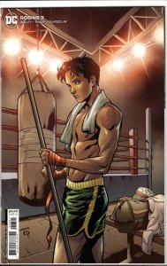 Robins #3 Variant Cover (2022) Robin