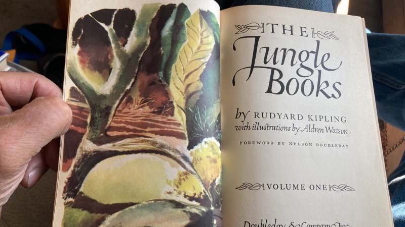 The jungle books, 1948, 250p