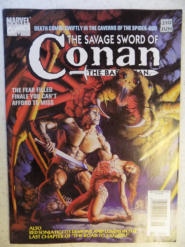 The Savage Sword of Conan #210 (1993)