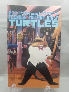 Teenage mutant ninja turtles 23
