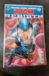 Justice League of America: The Atom Rebirth Ivan Reis / Joe Prado Cover (2017)