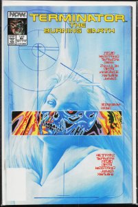 The Terminator: The Burning Earth #1 (1990) The Terminator