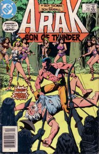 Arak Son of Thunder #28 (Newsstand) FN ; DC | Roy Thomas