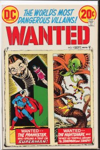 Wanted, The World's Most Dangerous Villains #9 (1973) Sandman