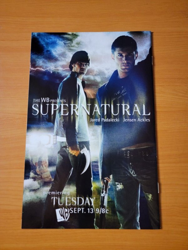 Swamp Thing v4 #19 ~ NEAR MINT NM ~ 2005 DC / Vertigo Comics