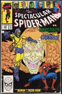 The Spectacular Spider-Man #162 (1990) Spider-Man