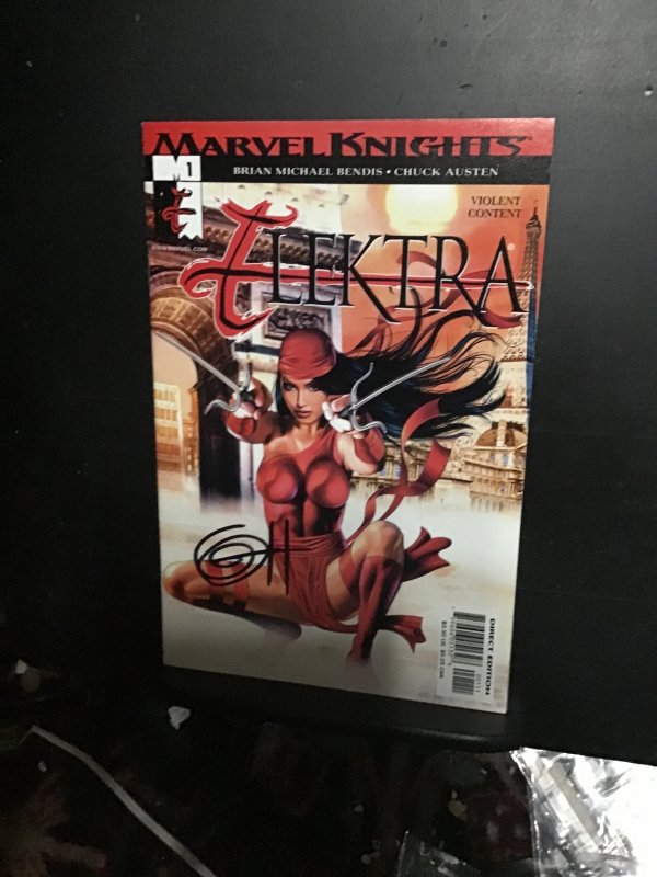 Marvel Knights Elektra Saga #1 (2001) signed Greg Horn! Certified! NM+ Wow!