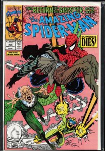The Amazing Spider-Man #336 (1990) Spider-Man