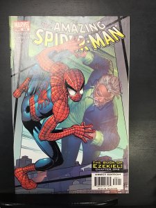 The Amazing Spider-Man: The Book of Ezekiel (2004)nm