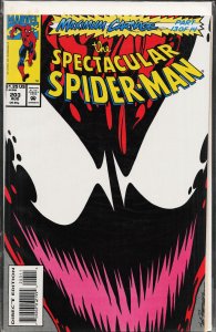 The Spectacular Spider-Man #203 (1993) Spider-Man