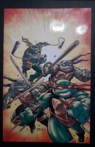 Teenage Mutant Turtles #75