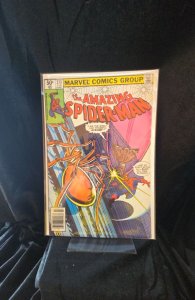 The Amazing Spider-Man #213 Newsstand Edition (1981) Spider-Man 
